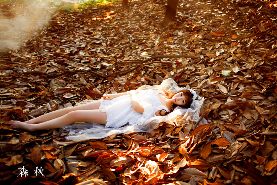 蕾丝短裙美女在深秋的森林写真图