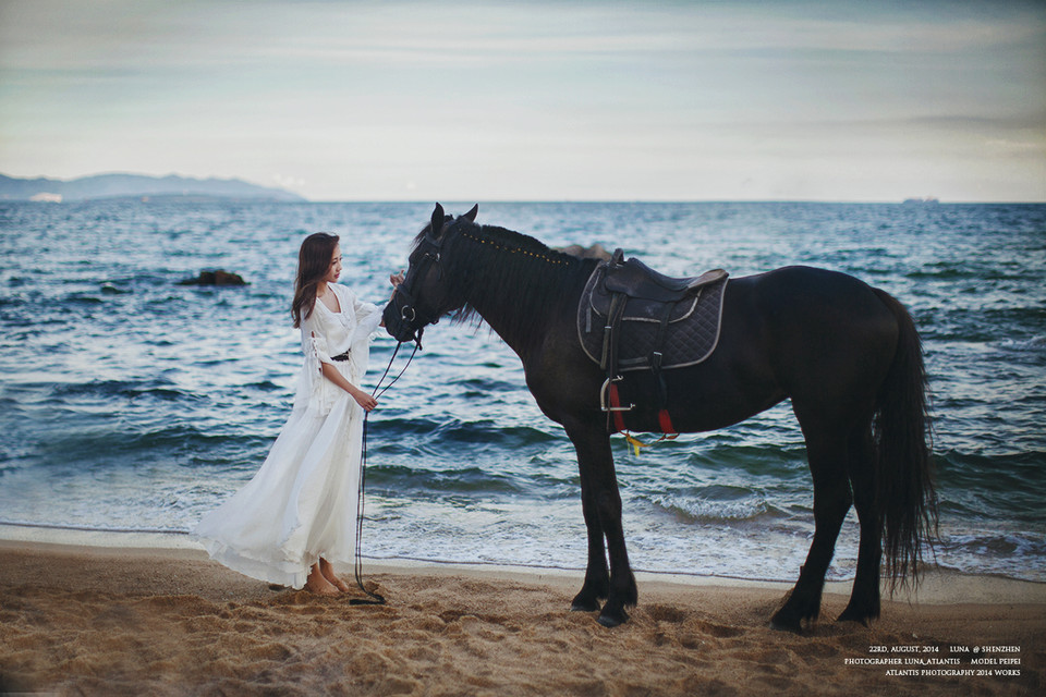 海边马背上的白裙美女